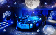 すみだ水族館、クラゲ水槽「ビッグシャーレ」の冬企画「月とクラゲ」を開催…11月20日～21年2月14日 画像