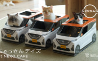 猫用日産軽自動車「にゃっさんデイズ」と猫カフェ「MOCHA」がコラボ 画像