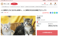 さとふる、山梨県の飼い主がいない猫への不妊・去勢手術を行うため寄付受付を開始 画像