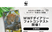 「第一回WWFダイアリーフォトコンテスト」開催…写真家・岩合光昭氏が特別審査員に就任 画像
