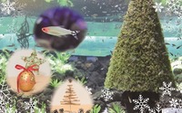 サステイナブルなプログラム満載の「カワスイクリスマス 2020」開催 画像