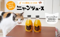 和歌山みかん100％を使用した「ニャンジュース」の予約開始…売上の2％を保護猫活動の支援金へ 画像