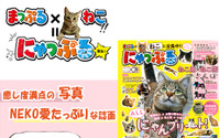 昭文社の「まっぷる」と猫がコラボ、猫本「にゃっぷる」を21年1月下旬に刊行 画像