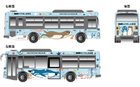DMMかりゆし水族館の「サンゴの飼育・養殖プロジェクト」に東京バスが賛同…1月上旬よりラッピングバスの運行開始 画像