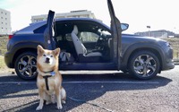 【柴犬ハルの気になるクルマ】マツダ MX-30 のフリースタイルドアは、愛犬の乗せ降ろしも楽々 画像