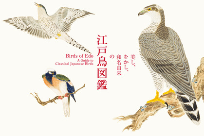 鳥たちを和の視点で紹介、「美し、をかし、和名由来の江戸鳥図鑑」刊行…パイ インターナショナル 画像