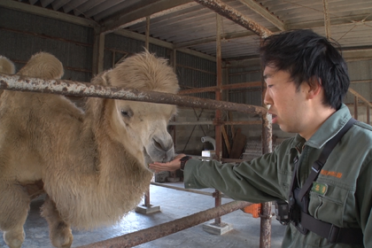 TBS系列「BACKSTAGE」が動物園の経費を特集、飼育係のこだわりとは…4月5日夜放送 画像