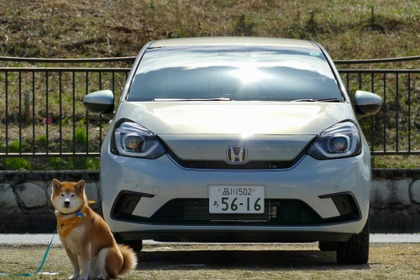 【柴犬ハルの気になるクルマ】新型 ホンダ フィット は穏やかな乗り心地で、五感が鋭い犬でもストレスなし 画像