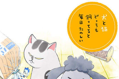 「犬と猫どっちも飼ってると毎日たのしい」ショートアニメ化!20年秋 画像