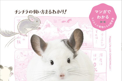 誠文堂新光社、“マンガでわかる”チンチラの飼育書を発売…4月10日 画像