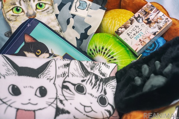 アドビ、2月22日の「猫の日」を記念して「猫フォト/ムービーコンテスト