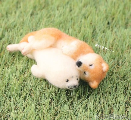本物よりかわいい 羊毛フェルトのやんちゃな柴犬 主婦の友社より刊行 5枚目の写真 画像 動物のリアルを伝えるwebメディア Reanimal