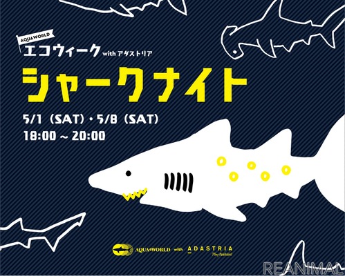 アクアワールド茨城県大洗水族館 Gwナイトイベント シャークナイト を開催 5月1日 8日 3枚目の写真 画像 動物のリアルを伝えるwebメディア Reanimal