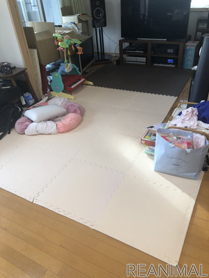 赤ちゃんと猫 Vol 15 こんなことになるとは 部屋にジョイントマットを敷いてみた 5枚目の写真 画像 動物のリアルを伝えるwebメディア Reanimal