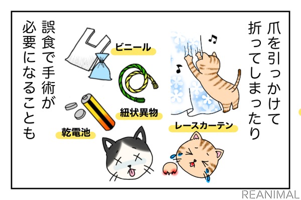 お家の中でも油断禁物 猫のケガや事故を防ごう 4コマまんが 1枚目の写真 画像 動物のリアルを伝えるwebメディア Reanimal