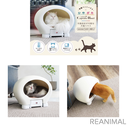 サンコー 冷温ヒーター付きペットハウス アニマルカプセルホテル を発売 2枚目の写真 画像 動物のリアルを伝えるwebメディア Reanimal サンコー 冷温ヒーター付きペットハウス アニマルカプセルホテル を発売 2枚目の写真 画像 動物のリアルを伝えるwebメディア Reanimal