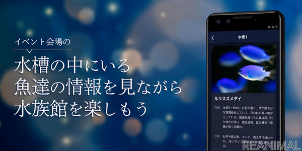 アイティベル ジュエリーアクアリウム でスタンプラリーも楽しめる独自の図鑑アプリをリリース 7月23日 1枚目の写真 画像 動物のリアル を伝えるwebメディア Reanimal