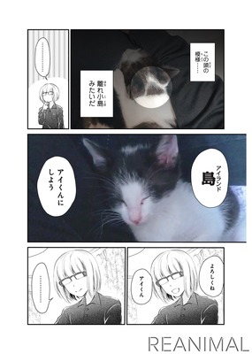 かわいい子猫のアイランド 漫画家が保護猫を引き取った話 漫画アプリpalcyで連載開始 10枚目の写真 画像 動物のリアルを伝えるwebメディア Reanimal かわいい子猫のアイランド 漫画家が保護猫を引き取った話 漫画アプリpalcyで連載開始 10枚目の写真 画像 動物のリアルを伝えるwebメディア Reanimal