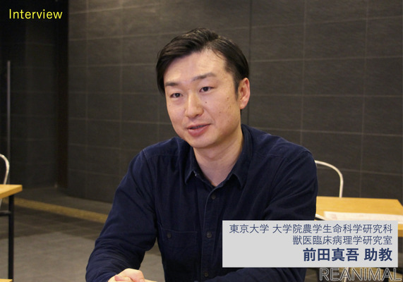 獣医療の最前線 犬の膀胱 尿道移行上皮がん 新しい治療法に向けた臨床試験 インタビュー 1枚目の写真 画像 動物のリアルを伝えるwebメディア Reanimal