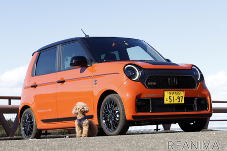 ホンダ N One は走りを楽しみたい愛犬家にぴったり ペットとのおでかけに役立つグッズも 動物のリアルを伝えるwebメディア Reanimal