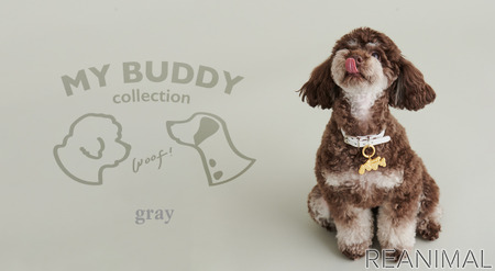 アクセサリーブランドgray 愛犬と楽しめるアクセサリー My Buddy Collection を発売 動物 のリアルを伝えるwebメディア Reanimal