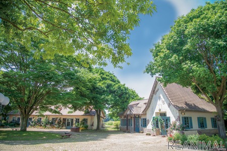 愛犬と一緒に茨城を楽しむ日帰りバスツアー こもれび森のイバライドと梨狩り 開催 9月26日 動物のリアルを伝えるwebメディア Reanimal