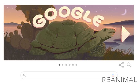 Googleロゴデザインが ガラパゴス諸島の生き物に 世界遺産登録から42年 動物のリアルを伝えるwebメディア Reanimal