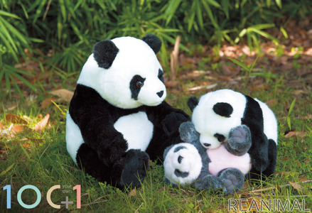 そごう横浜店 みなとみらいzoo 連れて帰れる 300匹のぬいぐるみ動物園 を開催 8月17日まで 動物のリアルを伝えるwebメディア Reanimal