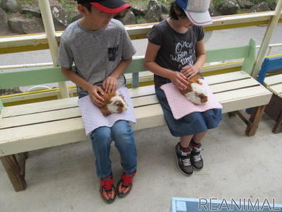 Jaf長野 小諸市動物園にてjafデーを開催 10月25日 動物のリアルを伝えるwebメディア Reanimal