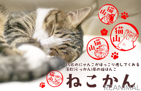 猫の仕草が描かれたはんこ ねこかん の予約受付開始 3月15日 動物のリアルを伝えるwebメディア Reanimal