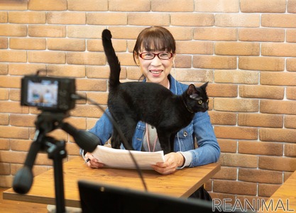 ネスレ、保護猫オンライン譲渡会を開催u202611月8日13時～16時、名古屋から 