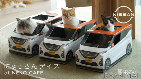 猫用日産軽自動車 にゃっさんデイズ と猫カフェ Mocha がコラボ 動物のリアルを伝えるwebメディア Reanimal