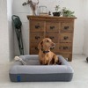 愛犬の睡眠と健康のために開発された犬用ベッド「guguドギー」発売 画像