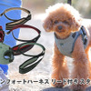 ゼフィール、犬・猫用ベスト型ハーネスの新作「コンフォートハーネス リード付き スター」を発売 画像