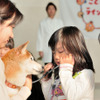 犬が介在するふれあい授業「こども笑顔のラインプロジェクト」、クラウドファンディングにて支援者募集…3月28日まで 画像