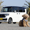 ホンダ 新型 N-BOX Customで愛犬と日帰りドライブ…安全で快適なペット用アイテムが活躍 画像