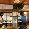 猫を愛でながら個室でテレワーク、ネコリパブリックが新サービス「猫旅籠ワーク」を開始 画像