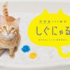 スリーズ、尿の成分に応じて色が変化する猫砂「しぐにゃる」の一般販売を開始 画像