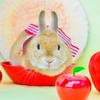 成田ゆめ牧場にて「ゆめのイースター」開催、テーマは「うさぎ」…3月20日～4月18日 画像