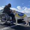 JAF×日本介助犬協会、思いやりある交通社会を目指しクラウドファンディング開始…5月31日まで 画像