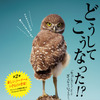 サンシャイン水族館、「ざんねんないきもの展2」第2弾を開催…3月20日～5月30日 画像