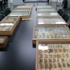 国立科学博物館、岡山県から昭和天皇に献上された昆虫標本を発見…企画展にて展示公開 画像