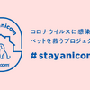アニコム、コロナ感染者のペットを預かるプロジェクト「#StayAnicom」を開始 画像