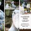伊豆シャボテン動物公園、世界最高齢で大往生のハシビロコウ「ビル」を剥製標本として展示 画像