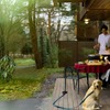 軽井沢マリオットホテル、新プラン「Terrace Dinner Stay -愛犬と楽しむ本格BBQ付-」を発売…5月15日～9月30日 画像