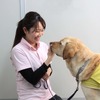 全国につながりを作り、より多くの人に知ってもらいたい… 日本介助犬協会の広報という仕事 vol.2［インタビュー］ 画像