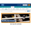 イギリスの動物愛護事情 vol.8…王立動物虐待防止協会が動物福祉の向上へ40の提言、「どんな動物も置き去りにしない」 画像
