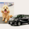 アイビーエスリムジン、愛犬と一緒に旅や移動ができる運転手付専用車のサービスを開始…車両はアルファード 画像