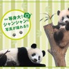 松坂屋上野店、上野動物園のパンダ「シャンシャン」4歳の誕生日を記念したイベントを開催 画像