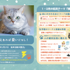 「ペット防災カレンダー」2022年版、予約受付開始 画像